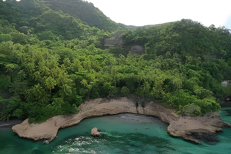 The Palms - Caribbean Paradise