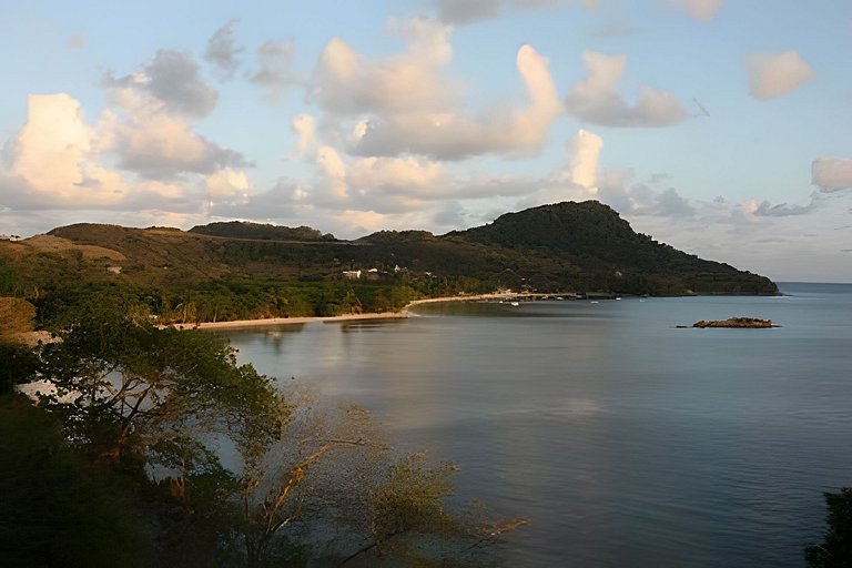 The Palms - Caribbean Paradise