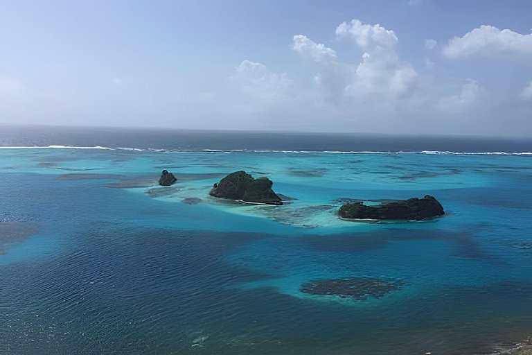 The Palms - Caribbean Paradise
