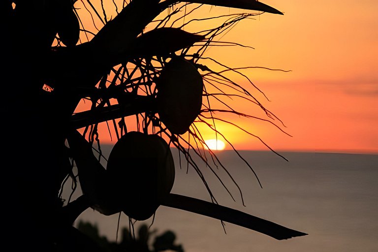 The Palms - Caribbean Paradise