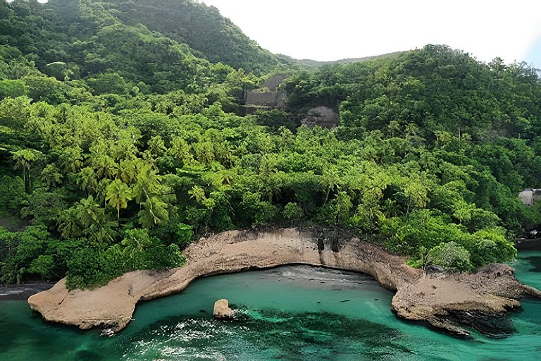 The Palms - Caribbean Paradise
