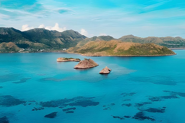 The Palms - Caribbean Paradise