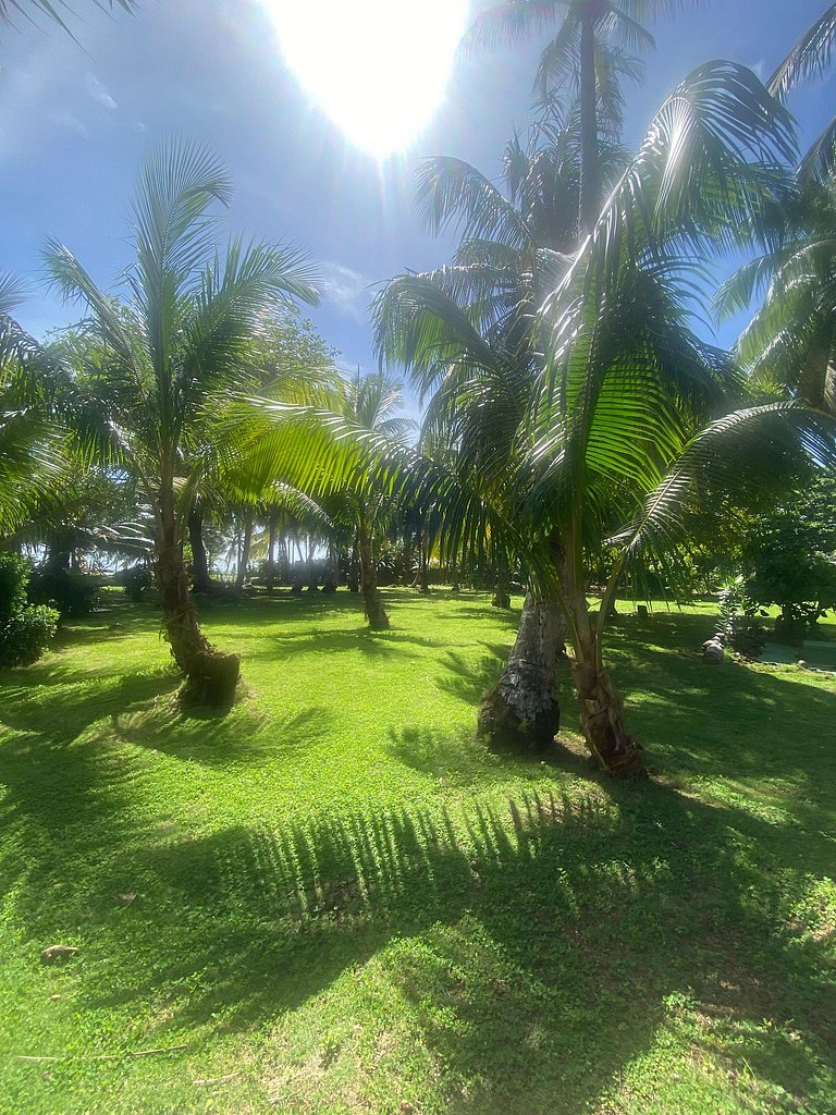SouthEndVillas-Caribbean delight 1
